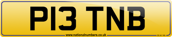P13 TNB