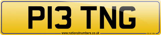 P13 TNG