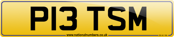 P13 TSM