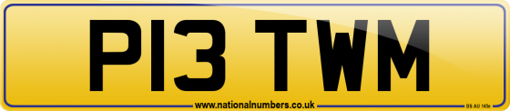P13 TWM