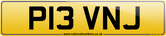 P13 VNJ