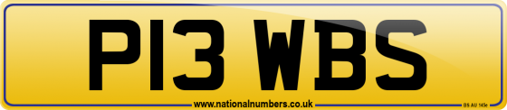 P13 WBS