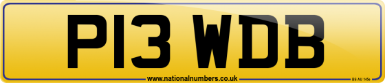 P13 WDB