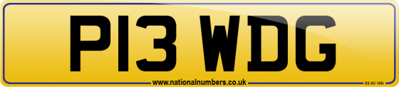 P13 WDG