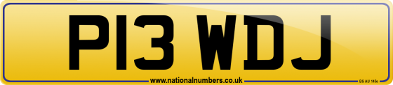 P13 WDJ