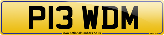 P13 WDM