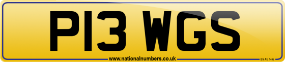P13 WGS