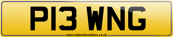 P13 WNG