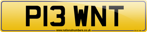 P13 WNT
