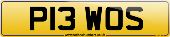 P13 WOS
