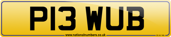 P13 WUB