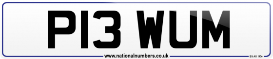 P13 WUM