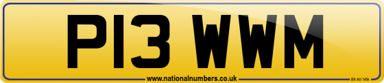 P13 WWM