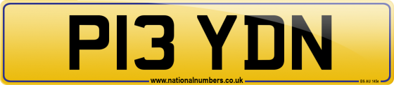 P13 YDN