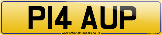 P14 AUP