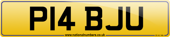 P14 BJU