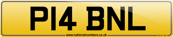 P14 BNL