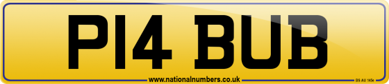 P14 BUB
