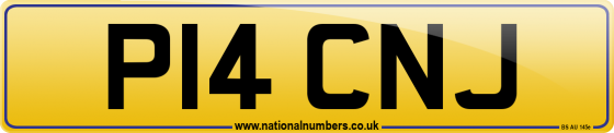 P14 CNJ
