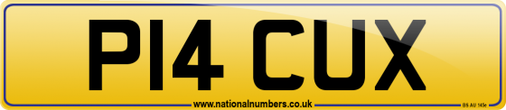 P14 CUX