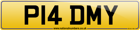 P14 DMY