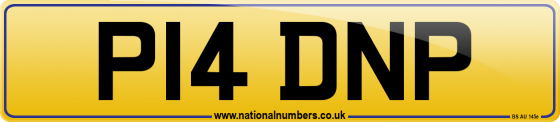 P14 DNP
