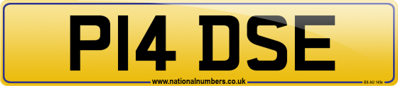 P14 DSE