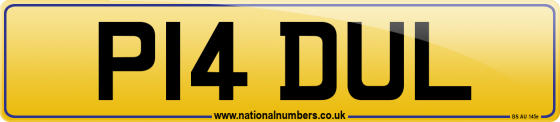 P14 DUL