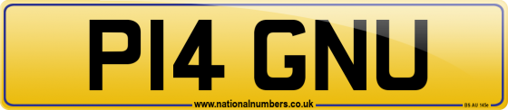P14 GNU