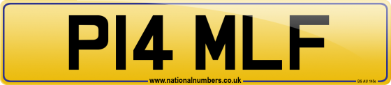 P14 MLF