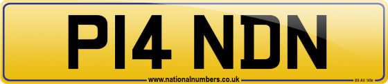 P14 NDN