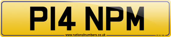 P14 NPM