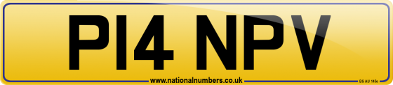 P14 NPV
