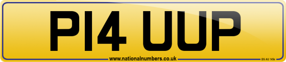 P14 UUP