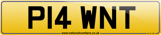P14 WNT