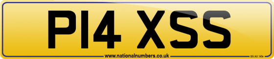 P14 XSS