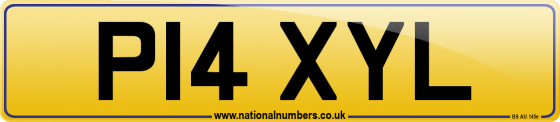 P14 XYL