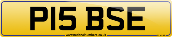 P15 BSE