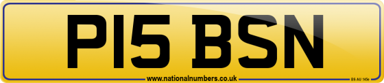 P15 BSN