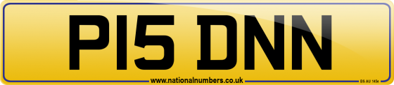 P15 DNN