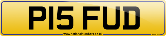 P15 FUD