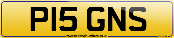 P15 GNS
