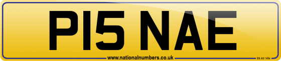 P15 NAE