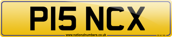 P15 NCX
