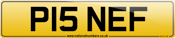 P15 NEF