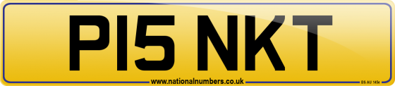 P15 NKT