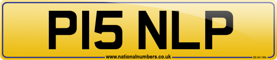 P15 NLP