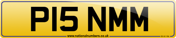 P15 NMM