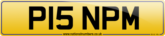 P15 NPM