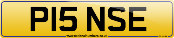 P15 NSE